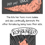 We need to talk about naked mole rats – The Oatmeal